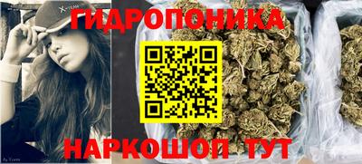 соль ск Новозыбков