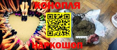 соль ск Новозыбков