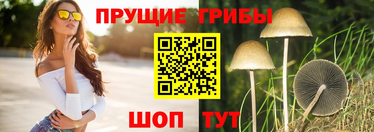Галлюциногенные грибы GOLDEN TEACHER  Вход с VPN  Соль-Илецк 
